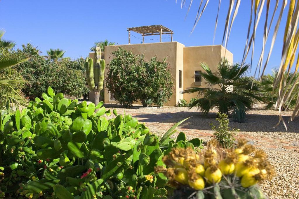 Sole Caliente Villa Todos Santos Luaran gambar