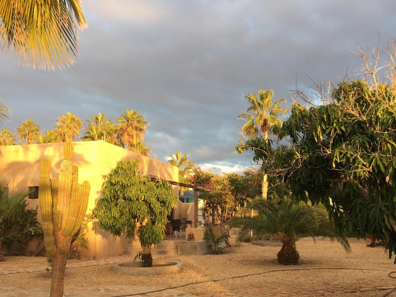 Sole Caliente Villa Todos Santos Luaran gambar